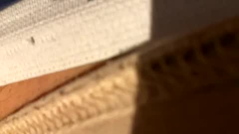 Fiksok online show from 04.14.26