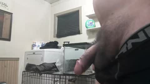 Snapshot of fillanuggs509523 chatting on 02.19.25 fillanuggs509523 online show from 02.19.25