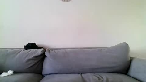 MilfnDaddy online show from 12.27.24