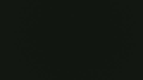 F I O R E L L A  online show from 04.19.26