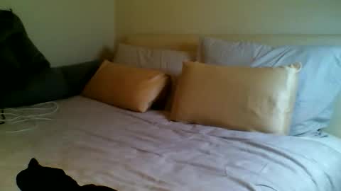 Snapshot of fitbut chatting on 09.15.25 Fitbut online show from 09.15.25