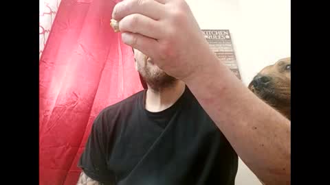 Nate online show from 11.05.25