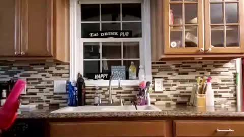 Nate online show from 02.24.26