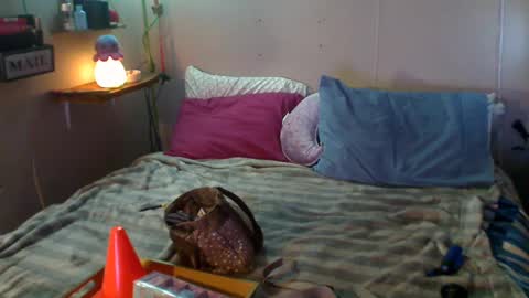 Eisha online show from 12.22.24