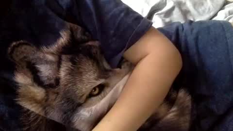 Snapshot of floraexploration chatting on 12.22.24 floraexploration online show from 12.22.24