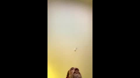 ANKI online show from 11.10.25