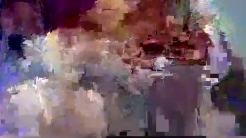 forest133 online show from 12.12.24