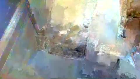 forest133 online show from 01.05.25