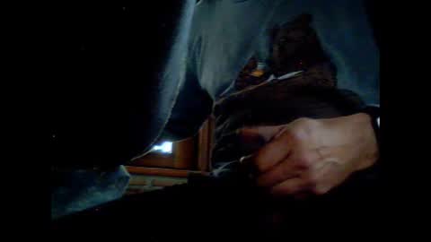 fra  71 online show from 03.08.26