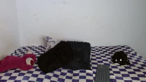 francesca  online show from 10.11.25