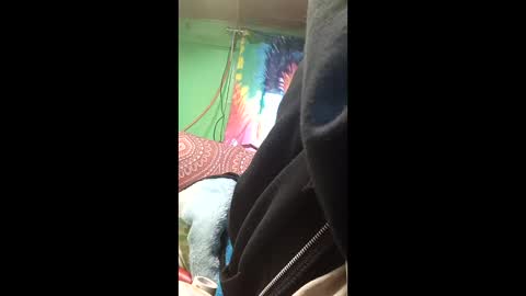 frankie1961slaight online show from 03.19.26