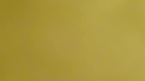 Snapshot of frankyb0yforeal chatting on 02.24.26 frankyb0yforeal online show from 02.24.26