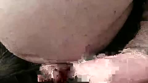 Snapshot of fredaldavid chatting on 01.28.25 David Fredal online show from 01.28.25