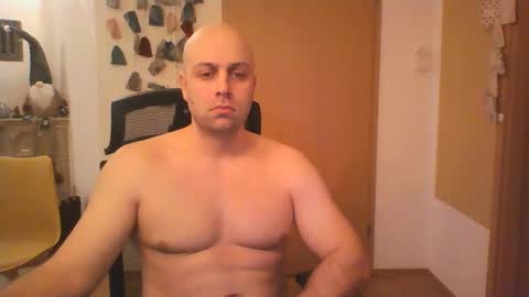 freddow online show from 12.11.24