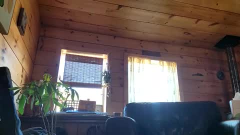 Anderson fz online show from 03.01.26