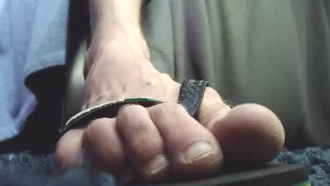 Greedy Fred online show from 02.23.26