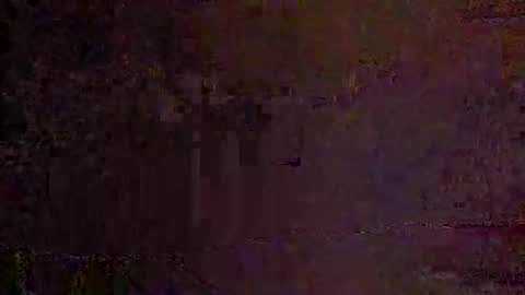 freelingling online show from 11.30.25