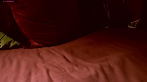 Duckmysick online show from 11.01.25