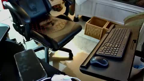 Snapshot of freespirt2 chatting on 11.01.25 freespirt2 online show from 11.01.25