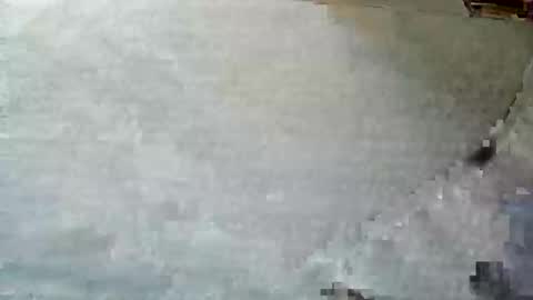 Snapshot of frenchpapalover chatting on 12.05.24 frenchpapalover online show from 12.05.24