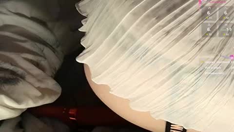 Meadow online show from 02.22.25