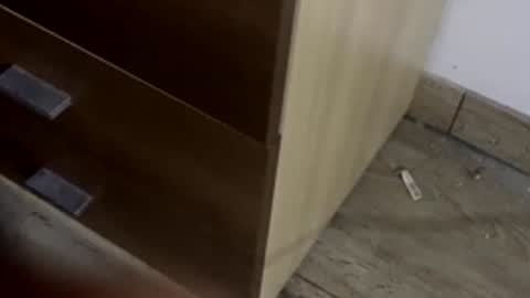 freshnarco online show from 12.21.25