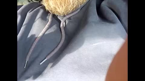 Frickish online show from 11.24.25