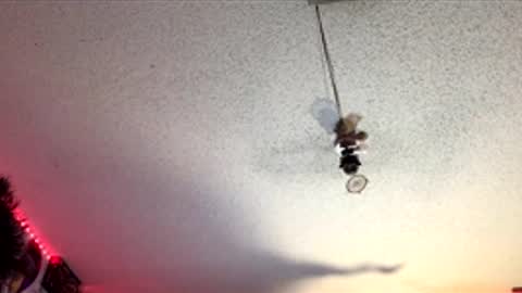 Fabian online show from 04.01.26