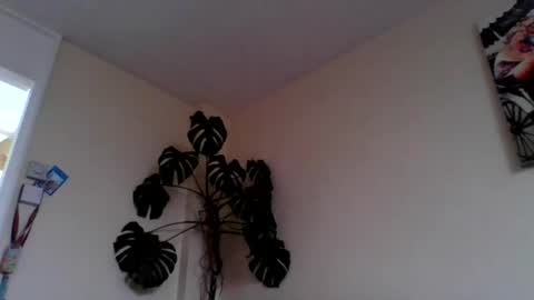 funn333222 online show from 06.15.26