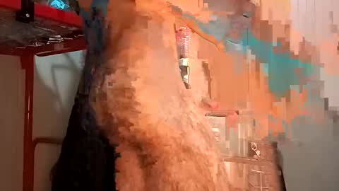 Italian men online show from 02.02.25