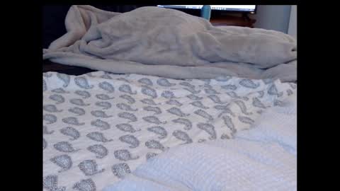 Funtimz16 online show from 02.13.25