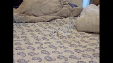 Funtimz16 online show from 03.09.25