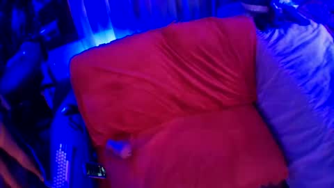 Snapshot of furby_chummies chatting on 01.09.25 Valarie Iris Paige online show from 01.09.25