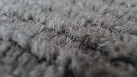 Mark online show from 01.19.26