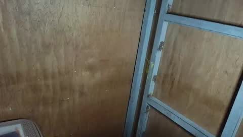 fvckingscarlet online show from 09.17.25