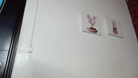 FIRE AND FOX online show from 03.04.25