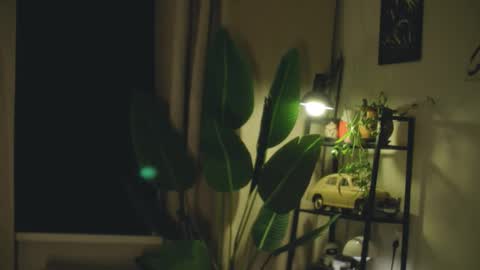 Snapshot of g_ia chatting on 02.26.26 G online show from 02.26.26