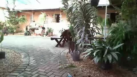 gaby  layla online show from 01.31.25