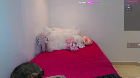 .  online show from 02.26.26