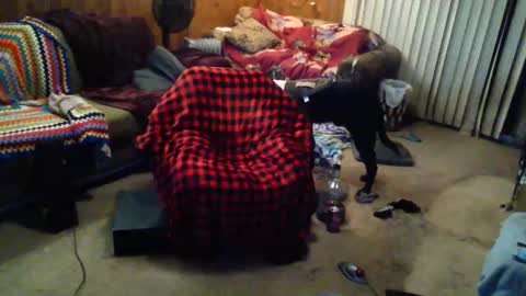 Snapshot of gamerfiend420 chatting on 10.17.25 gamerfiend420 online show from 10.17.25