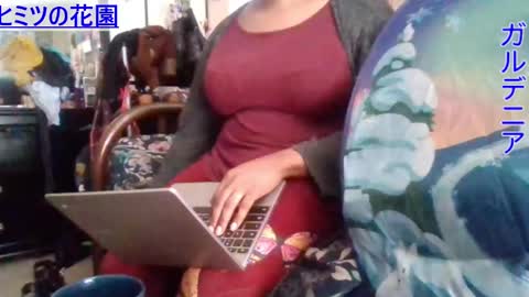 Gardenia online show from 12.02.24