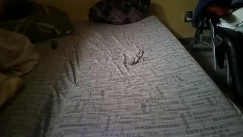 gazdadjoka online show from 02.14.25