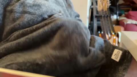 geezerblokeii online show from 12.02.24