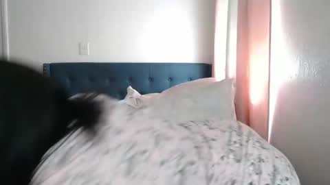 The Empress online show from 03.02.25