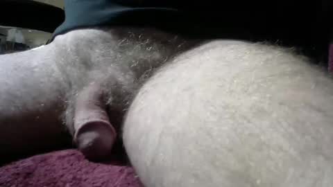 gemini_2 online show from 01.04.25