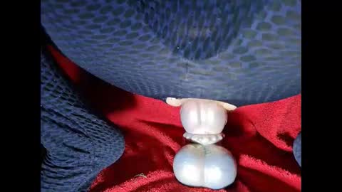 generalerectional online show from 10.18.25