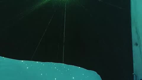 genitalwars online show from 12.19.25