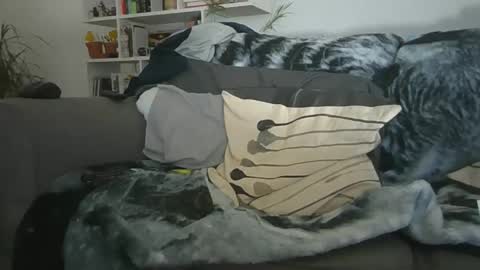 Geon online show from 12.19.25