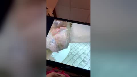 georgewithahj online show from 04.18.26