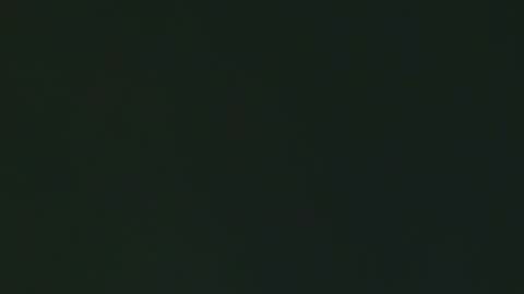 Georgina online show from 02.03.26